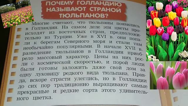 Почему Голландию называют страной тюльпанов? смотреть онлайн