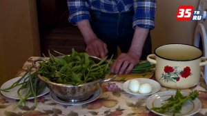 Салат « Дачный» из сныти