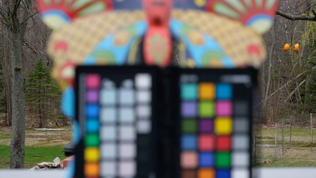 Fuji X-T20 4K Continuous Autofocus Test смотреть онлайн