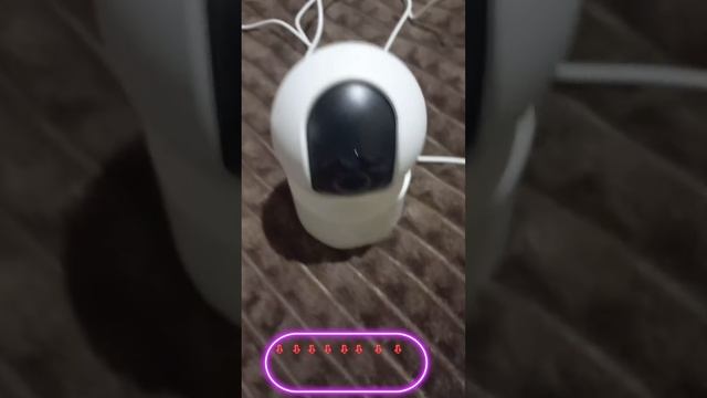 Камера 1 смотреть онлайн