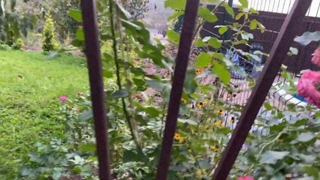 Сад в горах осенью смотреть онлайн