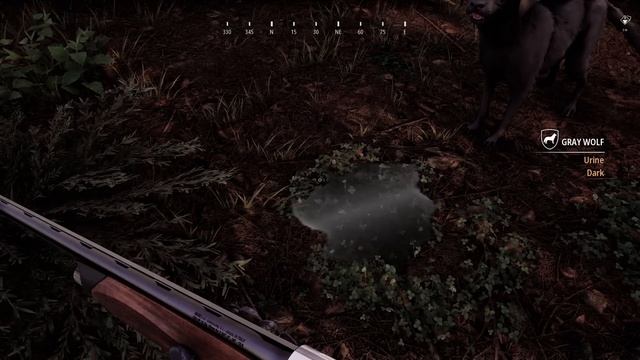 Hunting Simulator 2 - Your Hunting Dog | PS4 смотреть онлайн