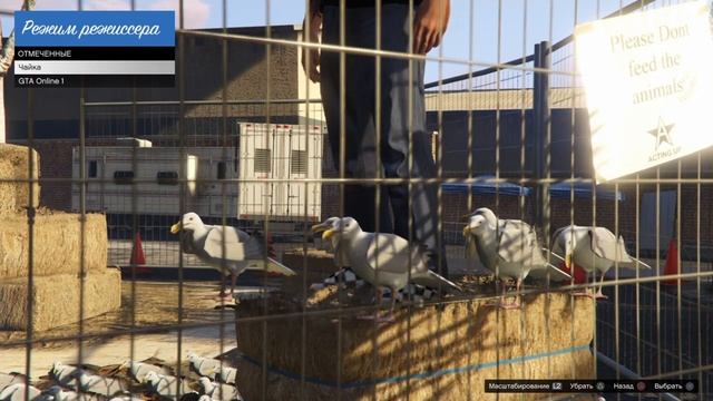 ЗАМОРОЗКА МАСКИ ЗА 15 МИНУТ ПАТЧ 1.58 PS4 PS5 XB1 XBX PC смотреть онлайн