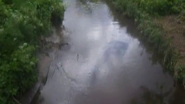 Лыбедь смотреть онлайн