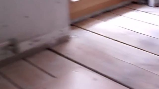 Пол из доски естественной влажности.