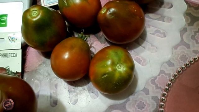 томат Чёрная Принцесса смотреть онлайн