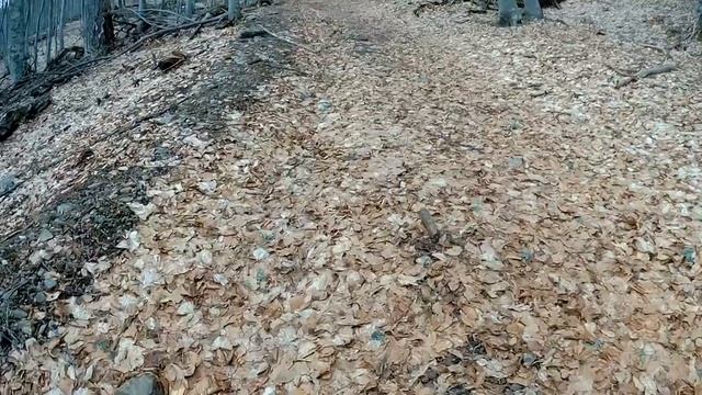 Беседка Ветров смотреть онлайн
