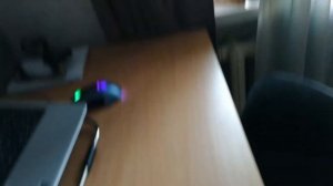 щенок АМСТАФФ, вторая неделя с нами / ВЛОГ/ 19-25.04.2021