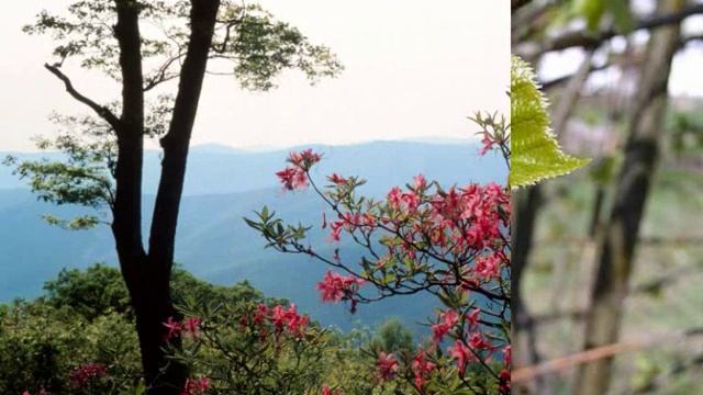 Спасибо,друзья! смотреть онлайн