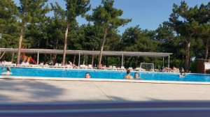 Геленджик, Пансионат,, Приветливый берег,,