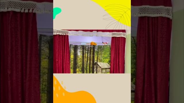 Средняя школа имени Ушинского .Театральная постановка The Bun Колобок  2023 г