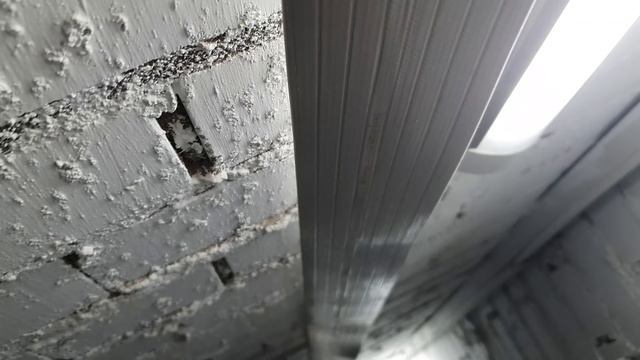 Золотой лифт: шлейф продолжает умирать смотреть онлайн