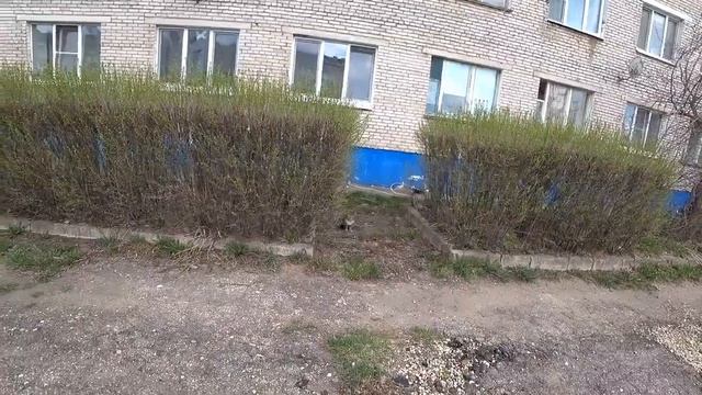 [04] Волоколамск - Шаховская на велосипеде по М9, на пути к Зубцову, Е22