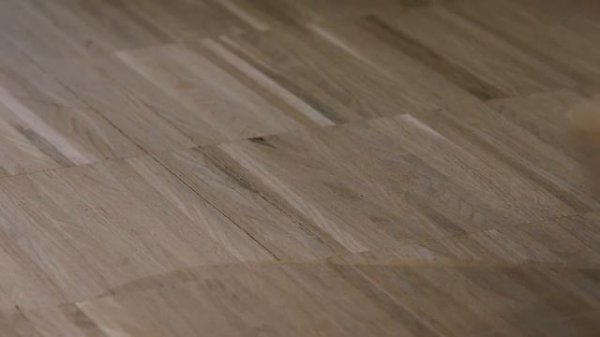 Loba Easy Fill Pro hard wood flooring gap filler