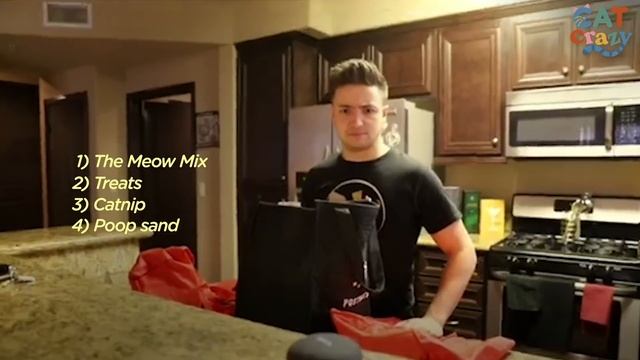 Every Cat Parent… | The Dodo Cat Crazy смотреть онлайн