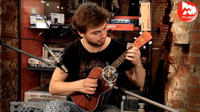 Укулеле ARIA ATU-120
