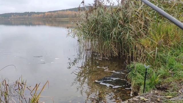Осенний фидер перед закрытием жидкой воды смотреть онлайн