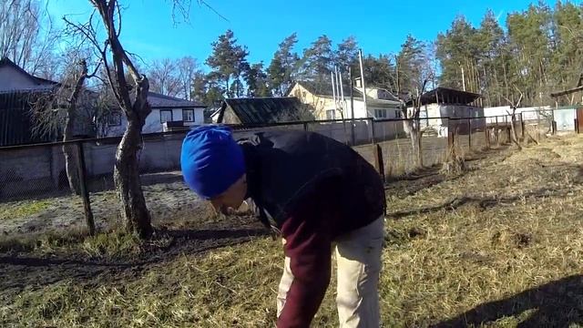 257. НАЧАЛЬНАЯ ДРЕССИРОВКА ФРАНЦУЗСКОГО БУЛЬДОГА смотреть онлайн