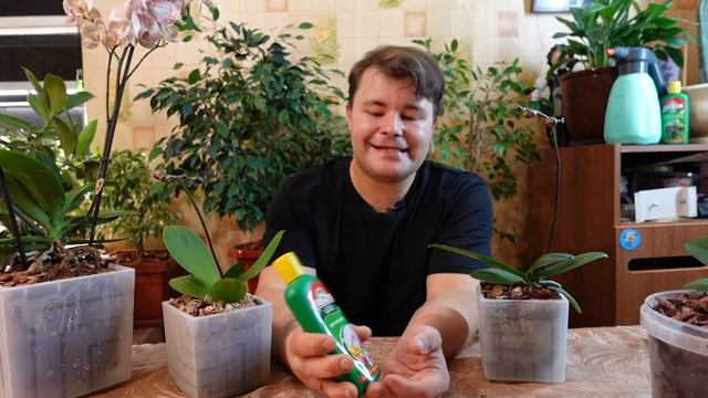 #Цион для орхидей - #деньги на #ветер, как и любой другой цион❗ #Чудо не случилось ? смотреть онлайн