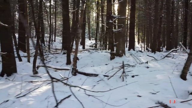 ❄ ЗИМА | Время года "ЗИМА" | Зимние месяцы. Развивающее видео для детей | Зима видео смотреть онлайн