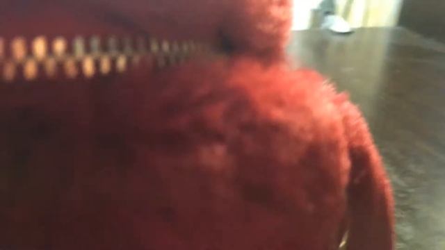Моя сумочка зайка смотреть онлайн