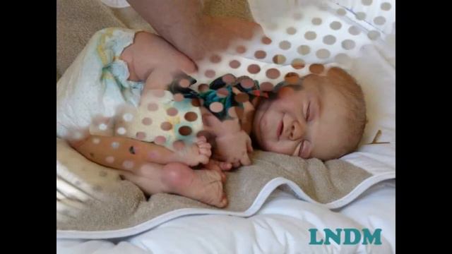 Rosie by Sandy Faber смотреть онлайн