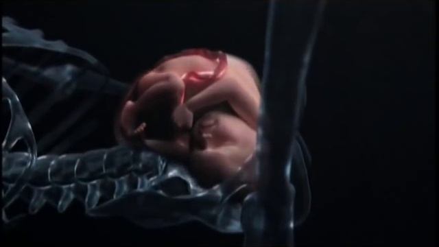 Рождение чудо!... смотреть онлайн