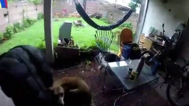 #Аргентина г.Морена стоянка у Анны смотреть онлайн