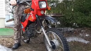 Оживляем мопед Зид Пилот после зимней спячки.  Первый выезд в 2021