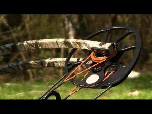 BEAR Agenda 6 и MISSION Blaze. Тест блочных луков.