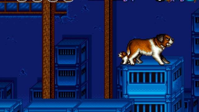 Beethoven The Ultimate Canine Caper смотреть онлайн