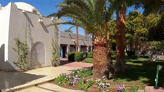 Desert Rose Resort 5*, Египет, Хургада смотреть онлайн