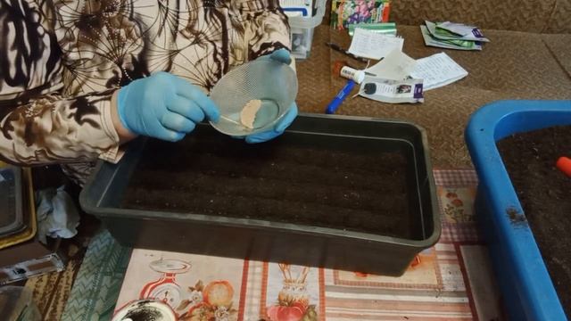 Посев декоративного душистого табака смотреть онлайн
