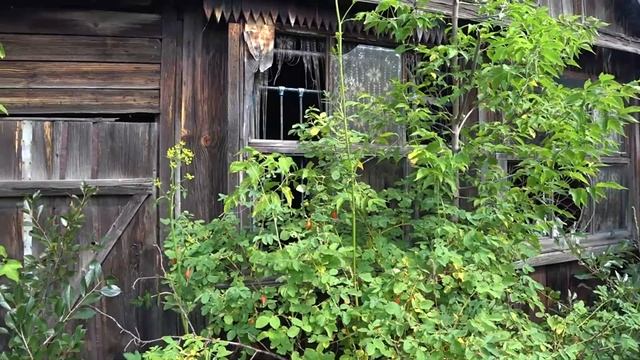 Как мы выбирали дачу смотреть онлайн