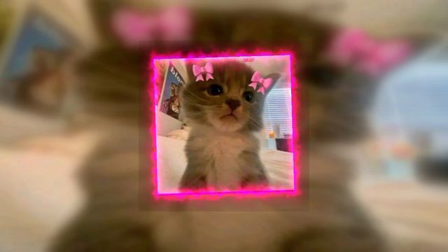 🫶🏻спид апы🥹 смотреть онлайн