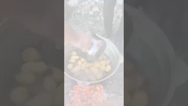 Мясо с овощами в казане на костре. Очень вкусно #овощинакостре #овощивказане #мясовказане #накостре смотреть онлайн