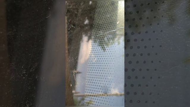 Как срезать лобовое стекло на Ауди 80 б4 смотреть онлайн