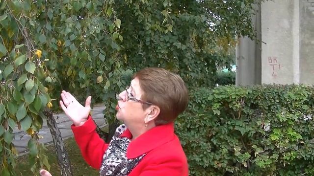 БЕРЁЗКА. С.Есенин. смотреть онлайн