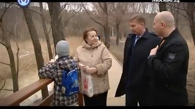 Спецрепортаж: деревья в Москве. смотреть онлайн