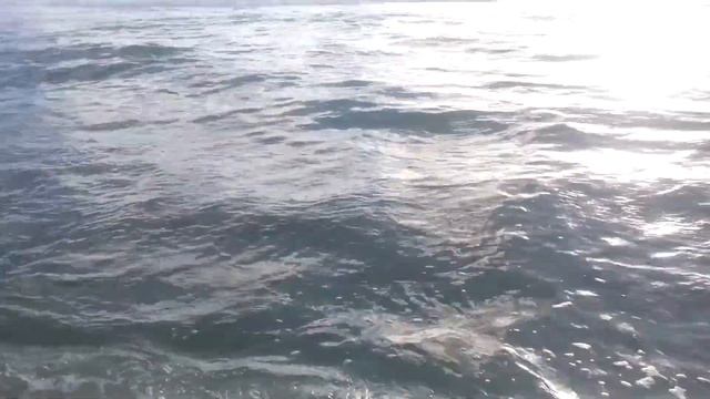 Атлантический океан. Рано утром смотреть онлайн