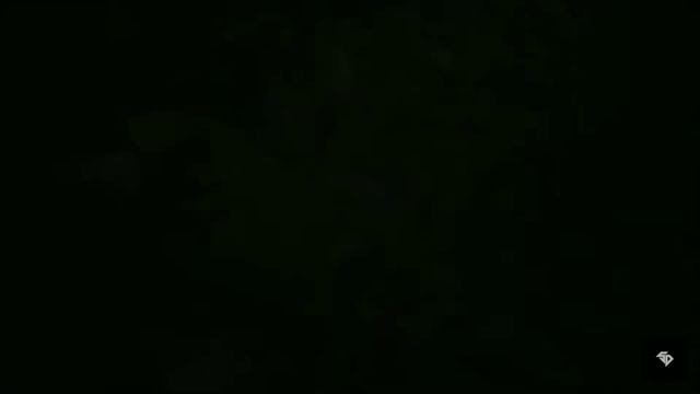 Attention! women's motivational song.Original song is Okean ELZY ( UKRAINE ) смотреть онлайн