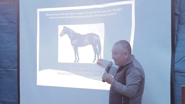 26.09.2019 г. Семинар по направлению - Коневодство смотреть онлайн