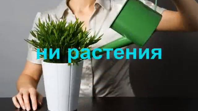 Вода залог здоровья!!! смотреть онлайн