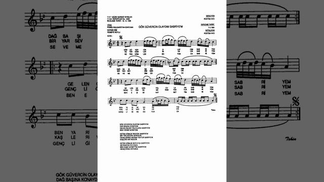 4208 Gök Güvercin Olaydım Sabriyem