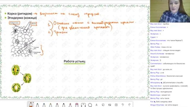 Биология. ЕГЭ 2021 Старт интенсива. Введение в ботанику. Ткани смотреть онлайн