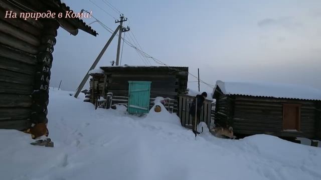 Побег Тулана. РЕМОНТ ВОЛЬЕРА. Будни в деревне. смотреть онлайн