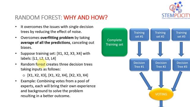 Random Forest Classifiers for Beginners | Dr. Ry @Stemplicity смотреть онлайн