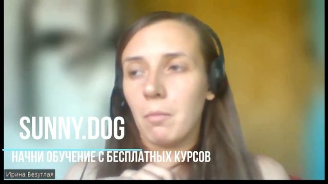 Можно ли кормить собаку натуралкой и сухим кормом? Смешанное питание. Важная информация владельцам! смотреть онлайн