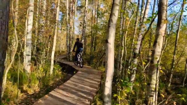 Эко-тропа "Сестрорецкое болото" смотреть онлайн