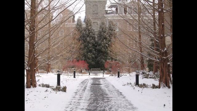 Artful Gardens: Part 1 - Metasequoia Allee смотреть онлайн